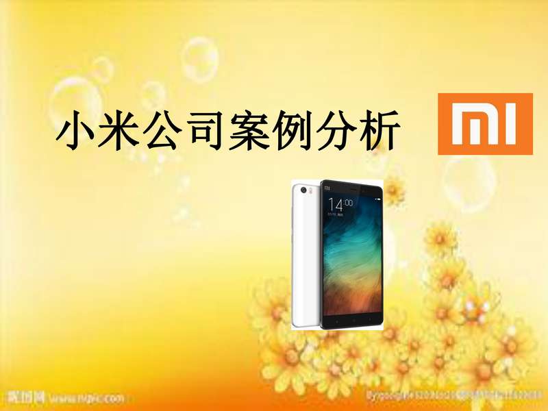 小米电子商务案例分析.pdf下载分享