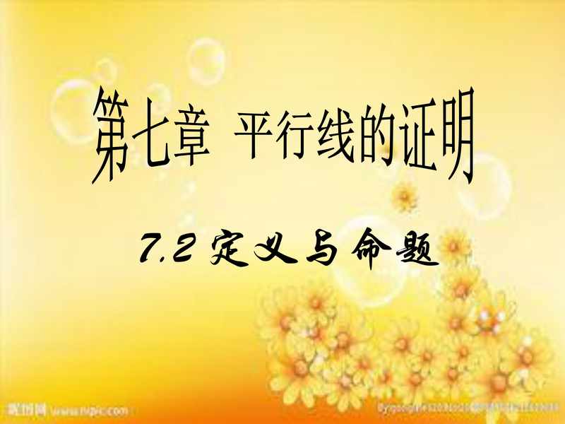 八年级数学定义与命题.pdf下载分享
