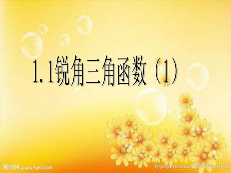 新浙教版1.1锐角三角函数.pdf下载分享