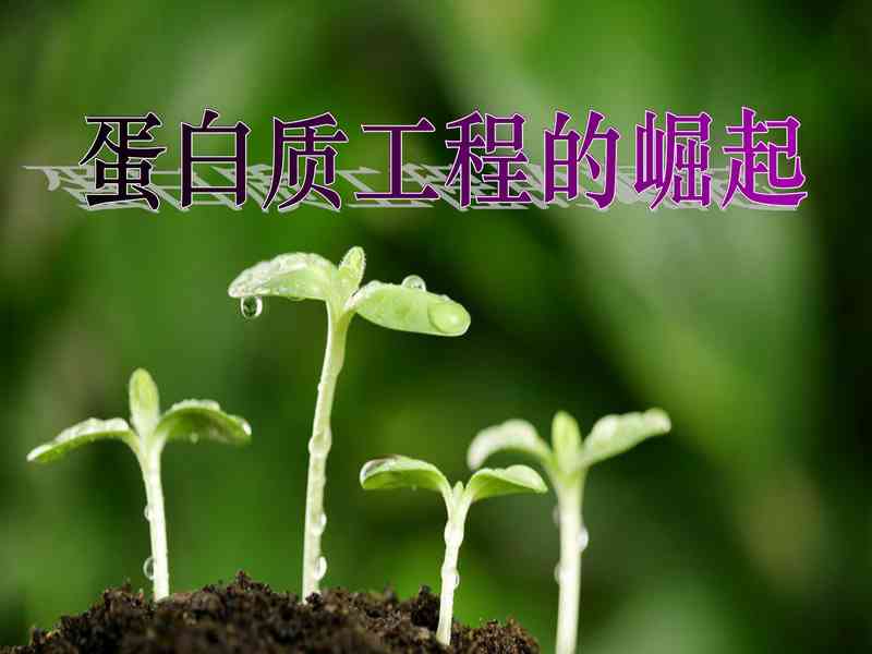 蛋白质工程.pdf下载分享