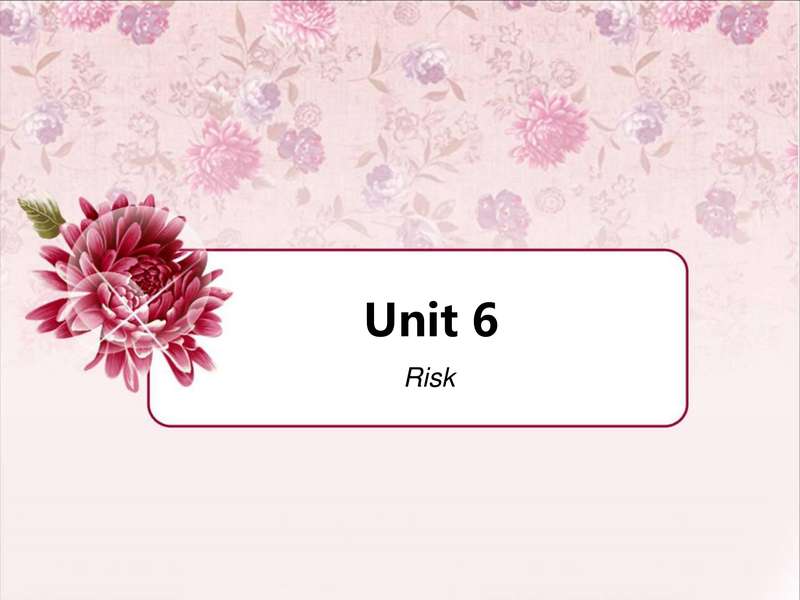 unit 6.risk_ppt.pdf下载分享