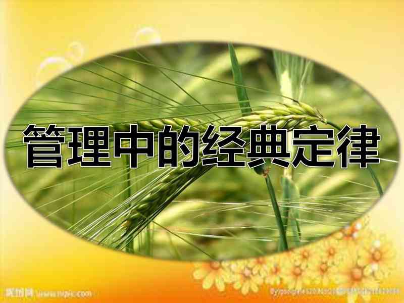 管理中的十大理论.pdf下载分享